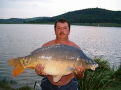 Cipibaits